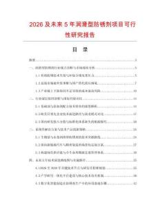 2026及未來5年潤滑型防銹劑項目可行性研究報告