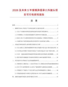 2026及未來5年紫銅異徑承口外接頭項目可行性研究報告