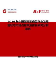 2026年中国刚玉耐磨管行业发展现状与市场占有率及排名研究分析报告