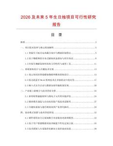2026及未来5年生日烛项目可行性研究报告