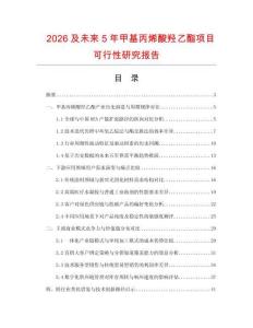 2026及未来5年甲基丙烯酸羟乙酯项目可行性研究报告
