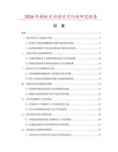 2026年鋼板天溝項目可行性研究報告