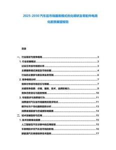 2025-2030汽車后市場服務模式優化調研及零配件電商化前景展望報告