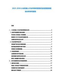 2025-2030小冰機器人行業市場供需現狀及投資前景規劃分析研究報告