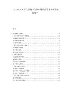 2025-2030荷蘭醫(yī)藥中間體市場供給需求分析資本發(fā)展中