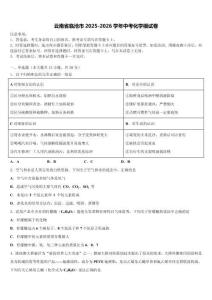 云南省臨滄市2025-2026學(xué)年中考化學(xué)模試卷（含答案解析）