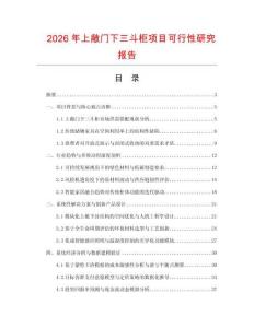 2026年上敞門下三斗柜項目可行性研究報告