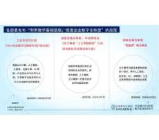 2026年-企業(yè)數(shù)字化轉(zhuǎn)型成熟度模型IOMM-解決方案