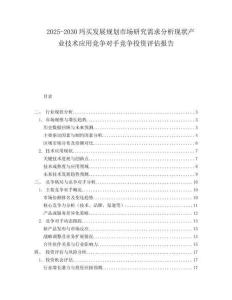 2025-2030瑪買發(fā)展規(guī)劃市場研究需求分析現(xiàn)狀產(chǎn)業(yè)技術應用競爭對手競爭投資評估報告