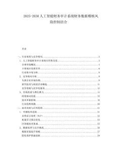 2025-2030人工智能財務審計系統財務數據稽核風險控制結合