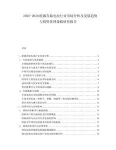 2025-2030能源存儲電池行業(yè)市場分析及發(fā)展趨勢與投資管理策略研究報告