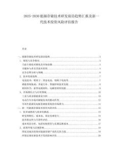 2025-2030能源存儲技術研發(fā)前沿趨勢匯報及新一代技術投資風險評估報告