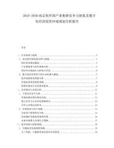 2025-2030南京軟件園產(chǎn)業(yè)集群競(jìng)爭(zhēng)力探索及數(shù)字化經(jīng)濟(jì)投資環(huán)境規(guī)劃分析報(bào)告