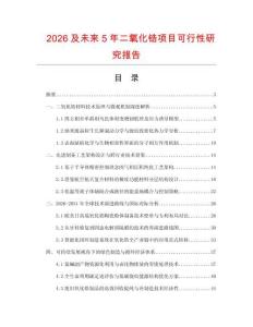 2026及未来5年二氧化锆项目可行性研究报告