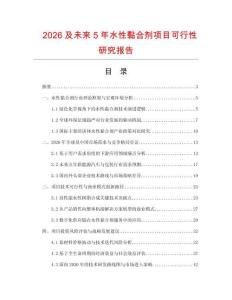2026及未來5年水性黏合劑項目可行性研究報告