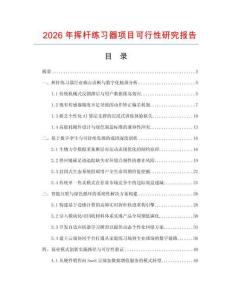 2026年揮桿練習器項目可行性研究報告