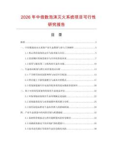 2026年中倍數泡沫滅火系統(tǒng)項目可行性研究報告