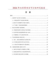 2026年幻彩帶項目可行性研究報告