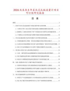 2026及未來(lái)5年差壓式孔板流量計(jì)項(xiàng)目可行性研究報(bào)告