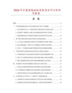 2026年中量型鋼層板貨架項目可行性研究報告