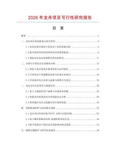 2026年龍舟項目可行性研究報告