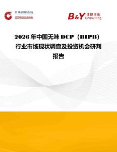 2026年中国无味DCP（BIPB）行业市场现状调查及投资机会研判报告
