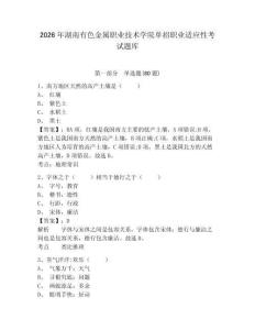 2026年湖南有色金屬職業(yè)技術(shù)學(xué)院單招職業(yè)適應(yīng)性考試題庫含答案詳解（研優(yōu)卷）