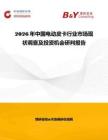 2026年中國電動皮卡行業市場現狀調查及投資機會研判報告