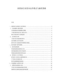 潤滑油行業(yè)資本運(yùn)作模式與融資策略