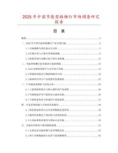 2025年中國節(jié)能型格柵燈市場調查研究報告