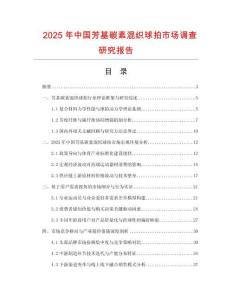 2025年中國(guó)芳基碳素混織球拍市場(chǎng)調(diào)查研究報(bào)告