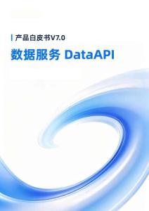 產品白皮書V7.0數(shù)據(jù)服務DataAPI