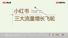 小紅書：三大流量增長飛輪
