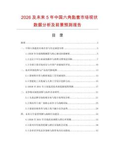 2026及未来5年中国六角匙套市场现状数据分析及前景预测报告