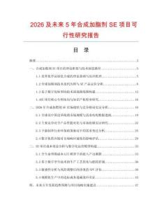 2026及未來5年合成加脂劑SE項目可行性研究報告