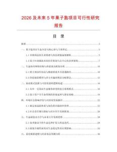 2026及未来5年果子匙项目可行性研究报告