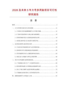 2026及未來5年大號多用墊項目可行性研究報告