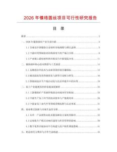 2026年鎳絡(luò)圓絲項(xiàng)目可行性研究報告