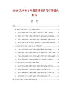 2026及未来5年菱形绸项目可行性研究报告