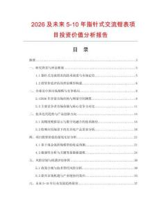 2026及未來5-10年指針式交流鉗表項目投資價值分析報告