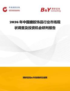 2026年中國搪膠飾品行業(yè)市場現(xiàn)狀調(diào)查及投資機會研判報告