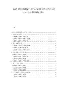 2025-2030核能发电业产业市场分析及核废料处理与安全生产管理研究报告