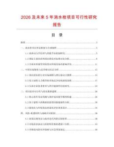 2026及未來5年消水栓項目可行性研究報告
