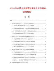 2025年中国多功能面粉膨化机市场调查研究报告
