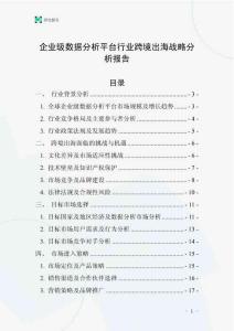 企业级数据分析平台行业跨境出海战略分析报告