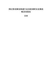 網紅影視解說頻道行業深度調研及發展戰略咨詢報告