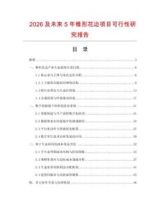2026及未來5年錐形花邊項目可行性研究報告