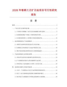 2026年錐柄三刃擴孔鉆項目可行性研究報告