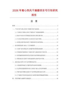 2026年離心熱風干燥器項目可行性研究報告