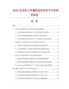 2026及未來5年氯羥吡啶項目可行性研究報告